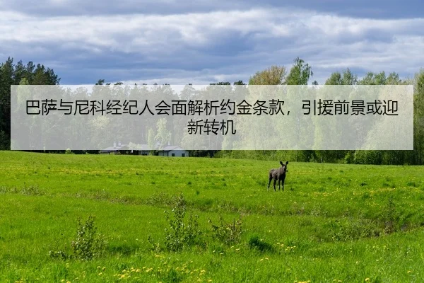 ba-sa-yu-ni-ke-jing-ji-ren-hui-mian-jie-xi-yue-jin-tiao-kuan-yin-yuan-qian-jing-huo-ying-xin-zhuan-ji-2-387.jpg