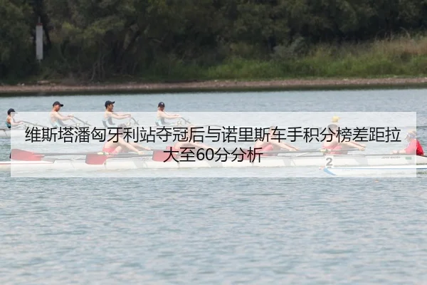 wei-si-ta-pan-xiong-ya-li-zhan-duo-guan-hou-yu-nuo-li-si-che-shou-ji-fen-bang-cha-ju-la-da-zhi-fen-fen-xi-2-860.jpg