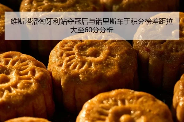 维斯塔潘匈牙利站夺冠后与诺里斯车手积分榜差距拉大至60分分析